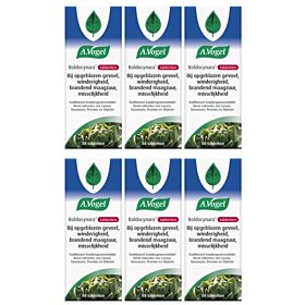 A. Vogel Boldocynara 80 tabletten Zespak Voordeel  6x 80 tabletten